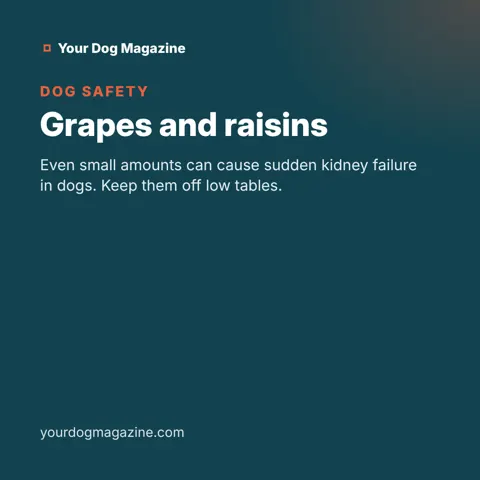 Grapes and raisins