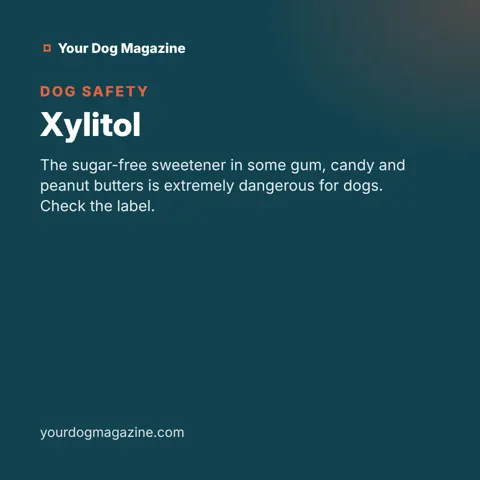 Xylitol