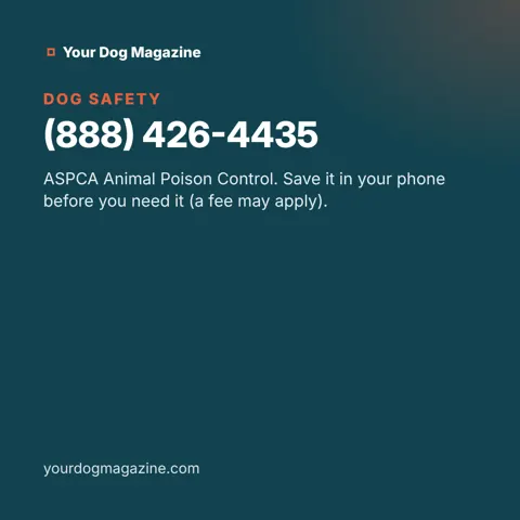(888) 426-4435